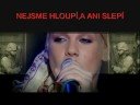 PINK-překlad do cz