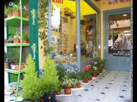 ALMORADI - Nacimos el día 22 de diciembre de 2011, por lo que somos una joven empresa. Nuestros principios se basan en el amor y admiración por los animales, las planta...