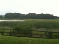 Panera Lake Mary