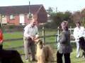 Afgano video