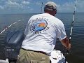 Large Shark Hooked off Marco Island Beach, Florida