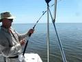 videos de Large Shark Hooked off Marco Island Beach, Florida