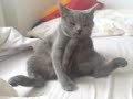 Cliquez pour voir la vid�o