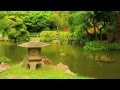 JAPANESE TEA GARDEN GOLDEN GATE PARK ...
