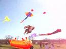 Austin Kite Festival