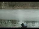 Michigan Video