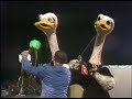 Jeux Sans Frontieres - Ostriches