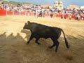 Novillos orea 2006