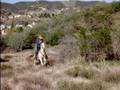 videos de Deb and Ted hacking in the field.MPG
