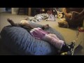 3 year old downhill ski practice