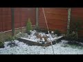 snow snow