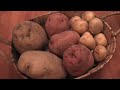 EL COCINERO FIEL CXXV - TORTILLA DE PATATAS (INTERACTIVA)