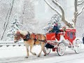 Christmas Dreams Christmas Dreams