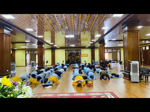 Tinh Hoa NIKAYA - Sám Hối Nghiệp Quả & Trải Tâm Từ