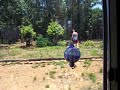 Live Hummingbirds