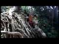 East Asia Campaign - EcoTourism - YouTube