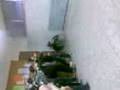 agus,phectos,lopss,pangel,rusi!