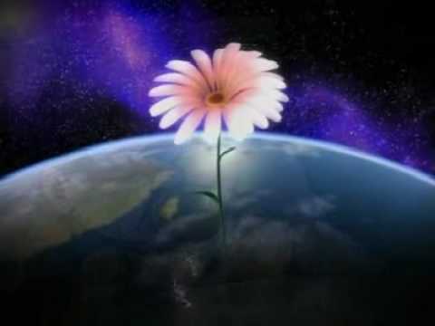 パチンコ　CRサイボーグ009～未知なる加速へCM　2009バージョン