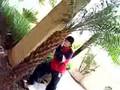 Assistir ao v�deo