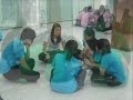 TEFL Eng Camp 11-2009 w music-revised.wmv