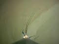 fin flutter fin flutter