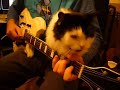 Jammin' with the housemate