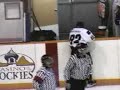 Referee Hammers Player