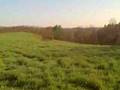 Ornothology Field Study Site