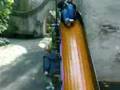 gaarheid in efteling 1