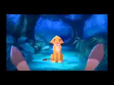 timon et pumba rencontre simba