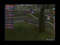 SignosNet - Elwyn server