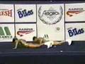 Campeonato Aerobica Brasil 94 2 lugar Dupas Michael,Stael