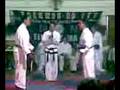 exhibicion de TAEKWONDO