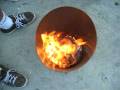 Cockroach flambe