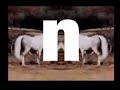 HorseMN