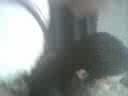 puas noxville puas noxville