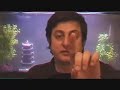 Sexpert - Flixster Video