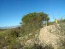 mountainbike oasis latraveada(2) mountainbike oasis latraveada(2)