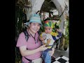frasers-hill-downtown-pahang-malaysia-.html