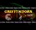 Griffindors (VFX animation for a Friend)