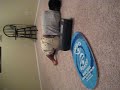 Best Indo Board Fall EVER