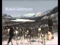 View Video: Muktuk Adventures & Guest Ranch