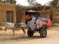 Siwa , oasis dans le desert d'Egypte ( Tour du monde voyage voyages vacances sejour )