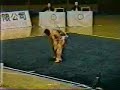 Sun Qun He (TIJ) - M.Daoshu (1996 China Nationals)