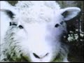 AIR Koji Kurumatani No more Dolly PV