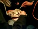 Skolan äter kladdkaka på tåget.3GP Skolan äter kladdkaka på tåget.3GP