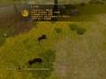 Cabela's African Safari - Lion hunting
