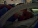 Kaiden Trying to get out of the blanket