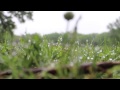 Believe In Me (Anti-Bullying Video) - Wesly