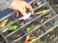 Early Spring Fishing Lures